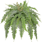 Hollyone Artificial Fern Plants in White Pot 25.5" Medium Artificial Boston Fern 31 Leaves for Outdoors & Indoor Faux Potted Plants Fake Ferns Bush Plant Patio Garden Farmhouse Porch Decor Dusty Green