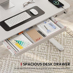 Standing Desk with Drawer, Electric Height Adjustable Home Office Desk with Storage & USB Ports, 48 inch White Wood Tabletop/White Frame