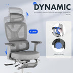 FLEXISPOT ErgoX Premium Ergonomic Office Chair with Footrest- Adjustable 3D Armrests, Dynamic Lumbar Support, Recline & Tilt Function, Mesh Seat, for Home & Office Use,Foam Grey