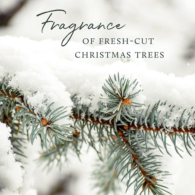 Thymes Frasier Fir Pine Needle Candle – Holiday Candles for Home Scented with Notes of Crisp Siberian Fir, Cedarwood & Sandalwood – Christmas Decor – Christmas Gifts for Women & Men (13 oz)