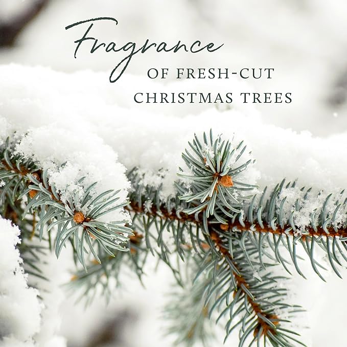 Thymes Frasier Fir Candle - Heritage Pine Needle Luminary Scented Candles - Elegant Pine Candle - Crisp Siberian Fir, Cedarwood & Sandalwood - Holiday Candles - Christmas Decor (Large, 16 oz)