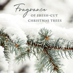 Thymes Frasier Fir Candle - Heritage Pine Needle Luminary Scented Candles - Elegant Pine Candle - Crisp Siberian Fir, Cedarwood & Sandalwood - Holiday Candles - Christmas Decor (Large, 16 oz)