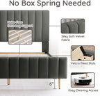 Livinia Full Size Elton Velvet Platform Bed, Upholstered Bed Frame with Vertical Channel Tufted Headboard Footboard, Strong Wood Slats, No Box Spring Needed, Gray (Full)