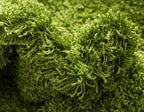 Unique Loom Solid Shag Collection Area Rug (10' x 13' Rectangle, Grass Green)