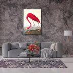 Wieco Art Canvas Print Wall Art American flamingo by John James Audubon The Birds of America Reproductions Art Print Picture Artwork for Living Room Bedroom Home Kitchen Decorations
