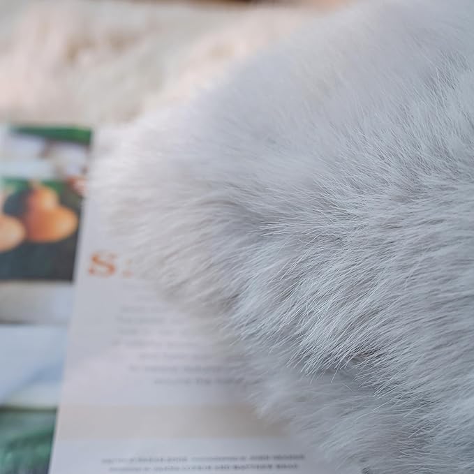 Neelvin Light Grey Faux Fur Cozy Fluffy Double-Sided Decorative Throw Pillow Covers 24x24 inch Set of 2,Velvet Pillowcase Cushion Case for Sofa Couch