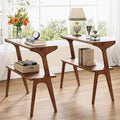 Tribesigns Set of 2 Wood End Table, Farmhouse Narrow Side Table with Storage Shelves, 2-Tier Slim Couch Side Table for Living Room, Long Bedside Table for Bedroom, Small Spaces, Rustic Brown