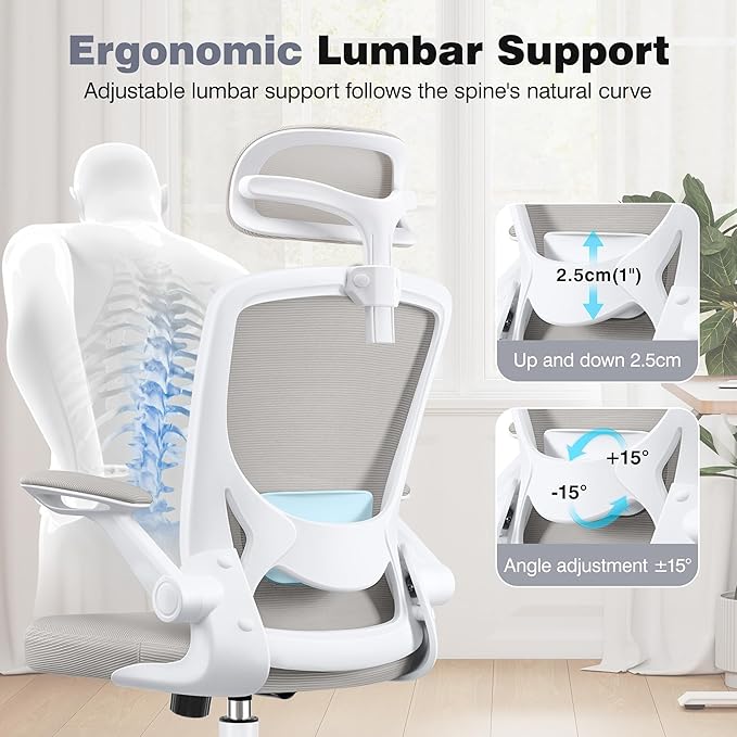 High Back Ergonomic Office Chair, Home Office Mesh Desk Chairs with Lumbar Support, Flip-up Armrests, Swivel Computer Chair for Gaming, Light Gray