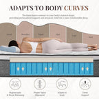 CH CHARME HOUSE Twin Mattress, 12 Inch Twin Size Hybrid Mattress in a Box, Medium Feel Foam and Individual Pocket Springs, Extra Edge Support, Pressure Relief, CertiPUR-US