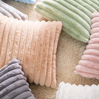 DEELAND Pack of 2,Double-Sided Faux Fur Plush Decorative Throw Pillow Covers Fuzzy Striped Soft Pillowcase Cushion Covers for Sofa Couch Bedroom Lightblue 24x24 inch