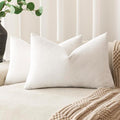 Foindtower Pack of 2 Soft Textured Throw Decorative Pillow Covers Lumbar Accent Solid Cushion Cover Cozy Neutral Farmhouse Pillow Case for Couch Sofa Bedroom Living Room 12x20 Inch, Ivory White