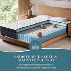 Sleepmax Queen Mattress 14 Inch - Deep Sleep Hybrid Mattress Pain Relief - Bed in a Box Extra Lumbar & Hip Support - Fiberglass-Free, CertiPUR-US Certified, 720-Night Trial