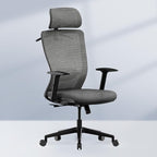 FLEXISPOT Classic Ergonomic Office Chair with High Back Swivel Computer Chair Executive Office Desk Chairs, with Lumbar Support/2D Headrest/Lockable Tilt Function, Foam Seat Cushion, Gray