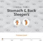 Signature Design by Ashley Twin Size Comfort Plus 10 Inch Hybrid Mattress with Lumbar Support Gel Memory Foam, Fiberglass Free, Mattress In A Box