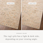 Loloi Chris Loves Julia Palma Collection PLM-11 Natural/Multi 6'-3" x 9'-6" Fringe Area Rug Vintage Style Boho Living Room Bedroom Carpet