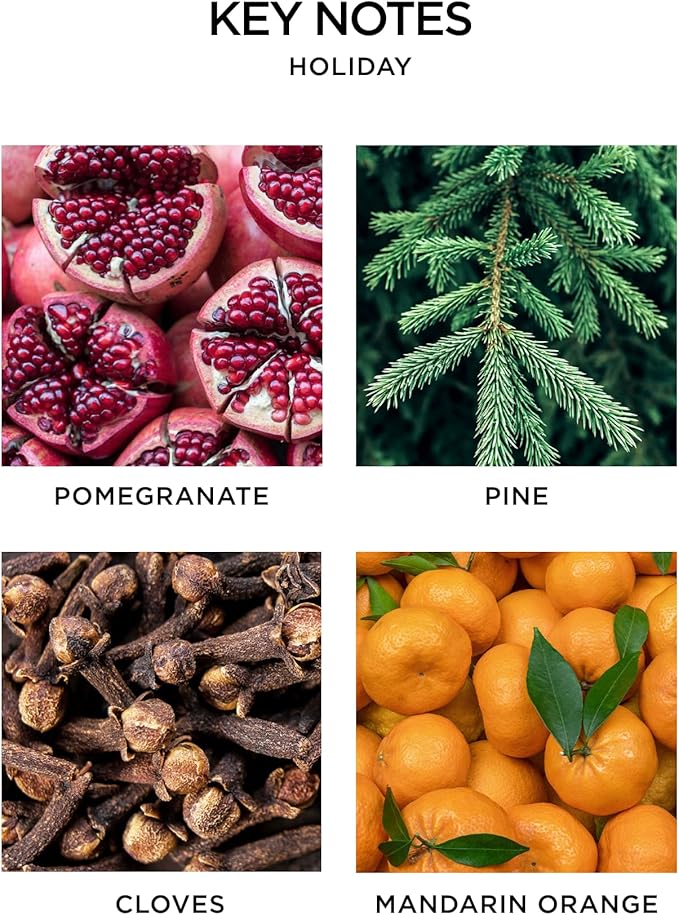 NEST New York Scented Classic Christmas Candle, Holiday - 8.1 oz - Up to 60-Hour Burn Time - Reusable Glass Vessel