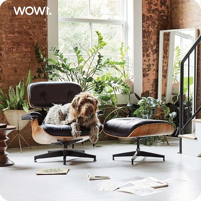 Top Black Grain Leather, Mid Century Chaise Lounge Chair and Ottoman, Modern Chair Classic Design, Walnut Wood, Heavy Duty Base Support for Living Room Office