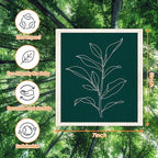 Morigins Wholesale Swedish Dish Cloths - 6 Pack Reusable Compostable Kitchen Cloth,Cellulose Sponge Dish Cloths Dish Towel Set