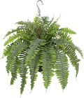 Artificial Fern Hanging Basket Plant 25" Boston Ferns 31 Leaves Greenery Plants with Rattan Pot for Outdoors & Indoor Fake Fern Bush Plant in Pot for Patio Entrance Porch Garden Decor Dusty Green