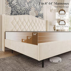Belffin Full Size Bed Frame with Headboard, Upholstered Velvet Luxury Bed Frame with Wingback, Anti-Slide Tall Footboard, Button Tufted & Nailhead Trim, Noise-Free, No Box Spring Needed, Beige