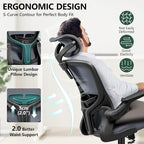 FelixKing Office Desk Chairs, Ergonomic PC Desk Chair with Wheels, Adjustable Lumbar Support and Height, Swivel Computer Chair with Flip-up Armrests, Ergo Mesh Backrest for Working (Dark Gray)