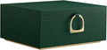 SONGMICS 2-Layer Jewelry Box, Jewelry Organizer with Handle, Removable Jewelry Tray, Jewelry Storage, Floating Effect, 8.1 x 9.4 x 4.3 Inches, Christmas Gift, Forest Green UJBC165C01