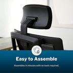 Vari Task Chair with Headrest (VariDesk) - Adjustable Height Ergonomic Office Desk Chair with Armrests & Casters - Breathable Mesh Computer Chair with Lumbar Support - Easy Assembly - Black