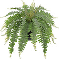Hollyone Artificial Fern Plants in Pot 18.8" Small Artificial Boston Fern 24 Leaves for Outdoors & Indoor Faux Potted Plant Fake Ferns Bush Plant Patio Garden Farmhouse Porch Home Decor Dusty Green