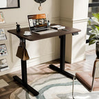 ERGOMAKER Electric Standing Desk, 31.5" x 23.6" Height Adjustable Sit Stand Desk with Splice Board for Home Office, Computer Desk Memory Preset (Black Frame, Walnut Desktop)
