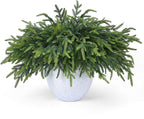 24 Pcs Pine Branches Artificial Green Pine Stem - Real Touch Christmas Greenery Pines Branch for Vase DIY Crafts Flower Arrangement Home Indoor Christmas Decor(18 Inch)