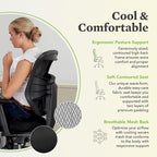 HON Prominent Mesh Ergonomic Office Chair with Adjustable Arms, Back Support, 360° Swivel Task Chair for Computers, Desk, Home Office, ASynchro-Tilt Recline, Black