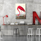 Wieco Art Canvas Print Wall Art American flamingo by John James Audubon The Birds of America Reproductions Art Print Picture Artwork for Living Room Bedroom Home Kitchen Decorations