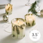 Thymes Frasier Fir Reed Diffuser Set – Includes Reeds, Fragrance Oil, and Frosted Glass Bottle – Fragrance Oil Diffuser – Room Fresheners – Luxury Home Decor – Green & Clear (Pine Needle, 4 fl oz)