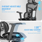 High-Back Ergonomic Mesh Office Chair, Modern Executive Desk Chair with 4D Armrests Computer Task Chair (Black Mesh Dual Lumbar Support)