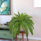 Hollyone Artificial Fern Plants in Pot 34.6" Large Artificial Boston Fern 39 Leaves for Outdoors & Indoor Faux Potted Plant Fake Ferns Bush Plant for Patio Garden Farmhouse Porch Home Decor Green