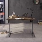 FLEXISPOT EN1 One-Piece Standing Desk 48 x 30 Inches Height Adjustable Electric Desk (Silver Frame + Rustic Top, 2 Packages)