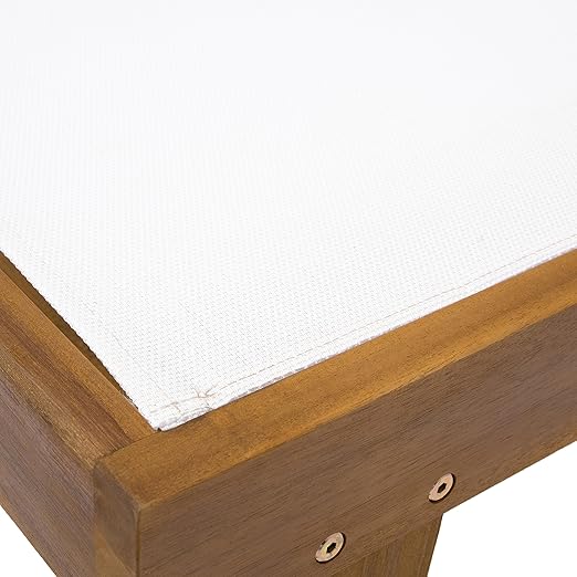 Christopher Knight Home Shiny Outdoor Wood Chaise Lounge (Set of 2), Teak Finish/White Mesh