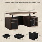 Executive Standing Desk with Drawers & Storage, 71'' Adjustable Electric Stand Up Wood Desk with Privacy Panel, AC/USB, File Cabinet, Large One-Piece Destop for Home Office, Black Walnut