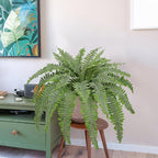 Artificial Fern Plants in Pot 34.6" Large Artificial Boston Fern 39 Leaves for Outdoors & Indoor Faux Potted Plant Fake Ferns Bush Plant for Patio Garden Farmhouse Porch Home Decor Dusty Green