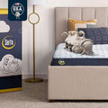 Serta Sleeptrue Firm 6" Full Memory Foam Mattress in a Box, Cooling, Breathable, and Pressure Relieving - 100 Night Trial, CertiPUR-US Certified and 10 Year Limited Warranty