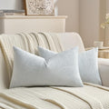 FUTEI Light Blue Velvet Throw Pillow Covers 12x20 Inch Set of 2,Soft Embossed Leaf-Relief Textured Lumbar Pillow Cases,Natural Home Decor for Couch Living Room