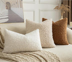 Pack of 2 Curly Teddy Wool Faux Fur Throw Pillow Covers Fuzzy Accent Soft Sherpa Pillowcases Sheepskin Fleece Decorative Cushion Case for Sofa Couch Living Room 16x16 Inch Neutral White