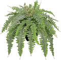 Hollyone Artificial Fern Plants in Pot 25.5" Medium Artificial Boston Fern 31 Leaves for Outdoors & Indoor Faux Potted Plant Fake Ferns Bush Plant Patio Garden Farmhouse Porch Home Decor Dusty Green