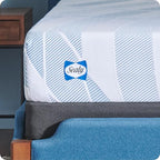 Sealy Dreamlife 10” Foam Mattress-in-a-Box, California King, SealyComfort Gel Memory Foam, Surface-Guard Technology, 10 Year Limited Warranty, Made in The USA