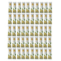 Asheva 8" x 9" Individually Wrapped Oshibori Disposable Towels - Luxurious Moist Cotton Hot/Cold Refreshment Towel - Lavender, Lemon, or Tea Tree Scents - Perfect for Spa, Travel, Dining & Events