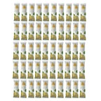 Asheva 8" x 9" Individually Wrapped Oshibori Disposable Towels - Luxurious Moist Cotton Hot/Cold Refreshment Towel - Lavender, Lemon, or Tea Tree Scents - Perfect for Spa, Travel, Dining & Events