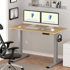 FLEXISPOT EN1 One-Piece Electric Standing Desk, 55 x 28 inch Stand Up Desk for Home Office (Silver Frame + 55" Natural Top, 2 Packages)