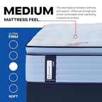 Sealy Posturepedic® Plus Glenshaw 15" Medium Pillowtop Innerspring Mattress - California Twin