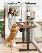 BIZUM Standing Desk Electric Adjustable Computer Desk-Stand up Desk Office Gaming Home Office Memory Desks 48x24 inches Wild Walnut