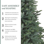 Balsam Hill European Silver Fir - Elegant Artificial Christmas Tree with True Needle Foliage Available Unlit or with LED Clear Lights, Unlit, 5'